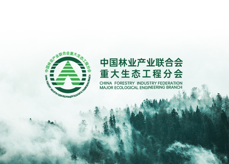 高端品牌包裝設(shè)計的要求
